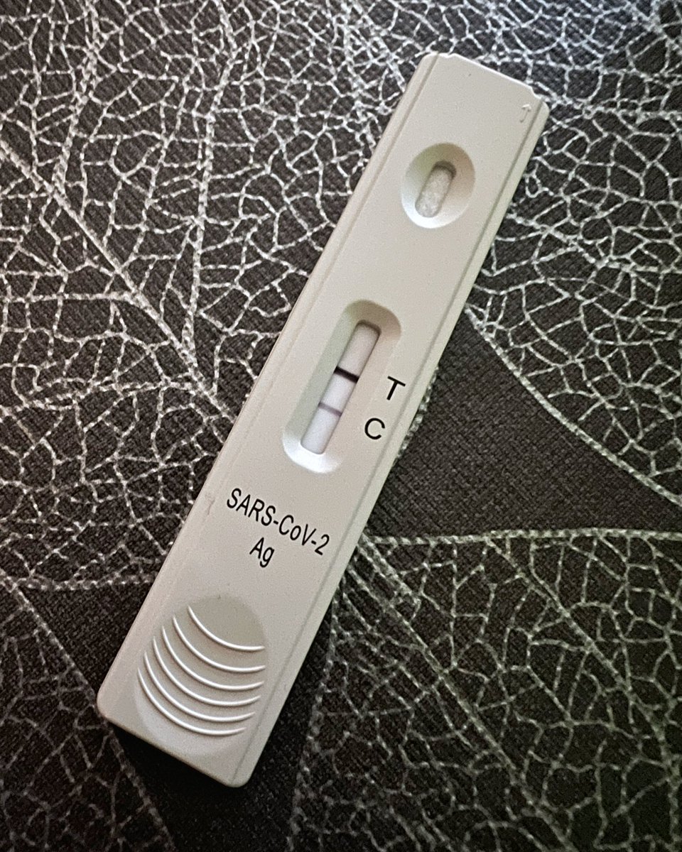 Das ist der Schnelltest eines ungei